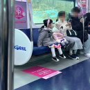뒤늦게 올리는 12월 일상기록