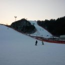 남이섬여행펜션 이미지