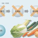 중매인푸드 네이버블로그