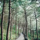 서울숲10 이미지