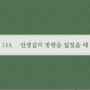 매일365