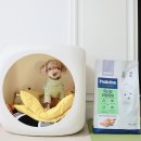 1982 PET FOOD | 이즈칸 사료 신제품 프로액티브 유산균 위장튼튼 후기!