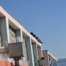 은혜학교 | 김해 은혜학교 비둘기 피해 해결 후기 1부｜좋은환경솔루션 비둘기퇴마사