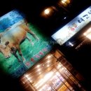 내고향횡성한우 이미지