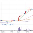 신성플러스