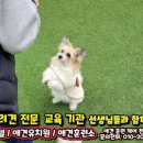 송정이용원 - 북구 송내10길 13 | 송정이용원