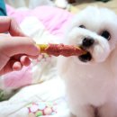 하랑푸드 이미지