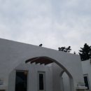 vivere 906 이미지