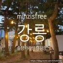 [강릉] 안목해변근처 숙소추천 #솔향강릉카라반캠핑장 내돈내산 솔직후기
