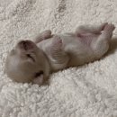 헤카림PC방 이미지