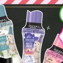 올리브향기 이미지