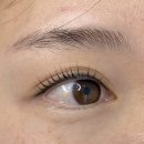 합성동267 | 마산속눈썹펌 잘하는 곳 : 양덕동 클래시 뷰티샵 후기