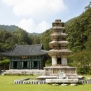 죽장사 Daum카페