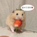 지난 3월 일상