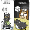 원적로 이미지