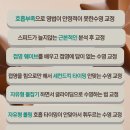토이키즈 스윔클럽 이미지