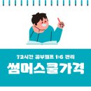 썸머스쿨가격 왜 높게 책정될까? 진짜 이유와 비교 기준