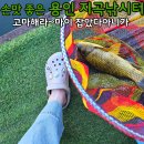 풍경 예쁜 용인 지곡낚시터서 붕어 18마리 잡았어요~