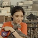 나만 없어 고양이 이미지