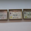 반려반상 이미지