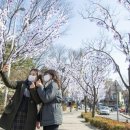 용산-104 이미지