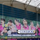 인터넷챔피언 | 2025 v리그 여자 배구 챔피언 결정전 삼산체육관 챔프전 직관