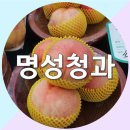 명성청과 이미지