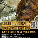 광현낚시 | 2023 BLACKFIN 제2회 낚시대회 컨셉트 에깅 참여 후기 [고내포구, 구엄포구 주변 포인트]