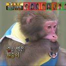 2일차 | 마지산도 | 오타루 료칸 | 아사리 클라세 | 아사리 클라세 가는 법 | 사와사키 수산 | 오타루...