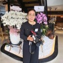 이민법률 행정사사무소 이미지