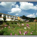 신평중학교 이미지