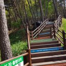 두 Y자(주말) 이미지