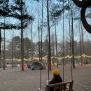 낙동강변로4-18 | 남이섬 반려견동반 백패킹] 강아지들의 지상낙원 트레킹온아일랜드 후기 /안반지 닭갈비 까지 야무지게!