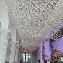 계곡 끝집 | 부모님과 제주 우도 섬 여행: 웰컴드링크 시에나 골드라떼, 체크아웃 후 우도 가기, 토끼차 렌트 후...