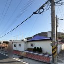 다포아라 이미지