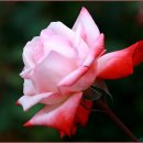 대공원역2번출구 이미지