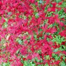 우방힐공인중개사사무소 이미지