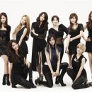 더독스 미니 이미지