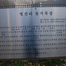 병산리 돌거북상 이미지