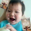 A2 | 아이 첫 우유로 선택한 영국왕실우유 저지 데어리 A2저지우유 후기