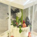 세라케이크 sera cake