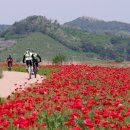 주남저수지 이미지