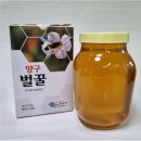 니드넷포츠