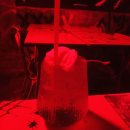 부산진구-27 | [부산/부산진구] '하이코우 멘헤라카페' 방문 후기 - 확실히 이색적인 컨셉의 카페가 아닌가.