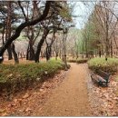 가오근린공원 이미지