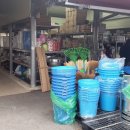 다시샛골전통시장 이미지