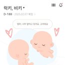UR(강릉시)-[사임당로]-하-23 | [시험관3차.18] 초기 정밀초음파 (1차기형아검사,서초함춘,임신13주)