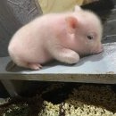 러브앤피스
