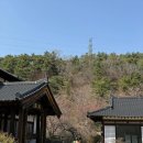 강아지테마파크 | [경남 합천] 합천영상테마파크 반려견 동반 🐶 직접 다녀온 솔직 후기