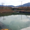 청풍낚시터 이미지